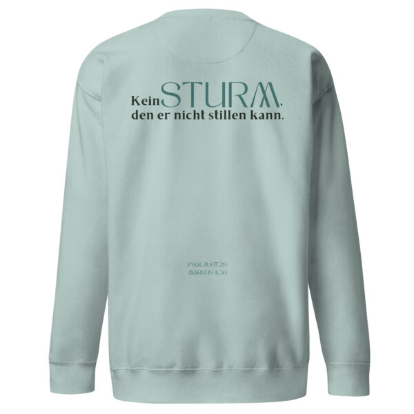 Psalm 107 - Premium-Pullover