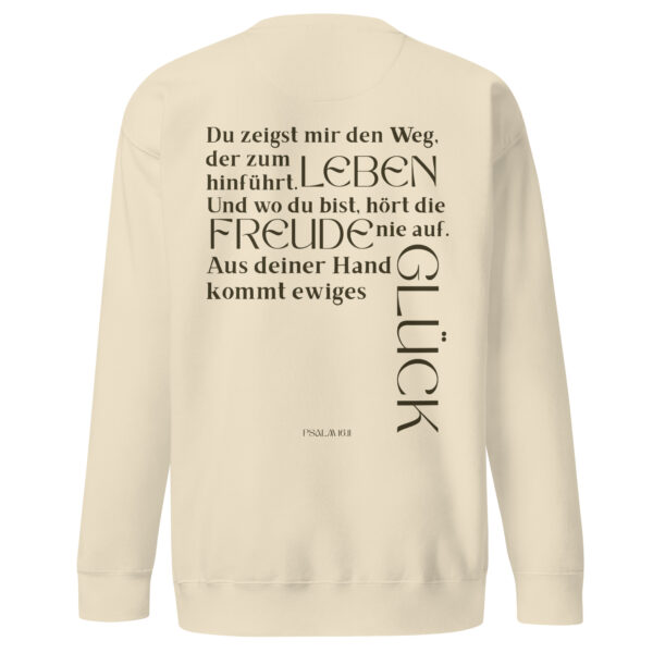Psalm 16 - Premium-Pullover