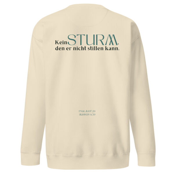 Psalm 107 - Premium-Pullover