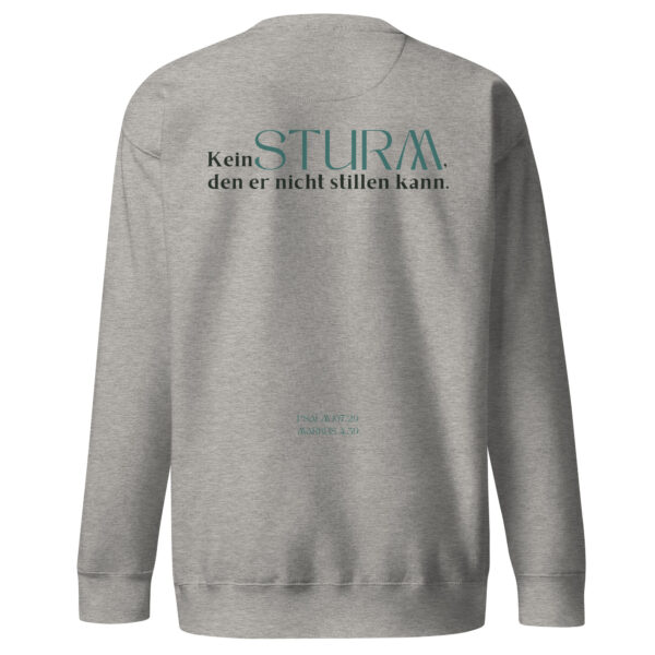 Psalm 107 - Premium-Pullover