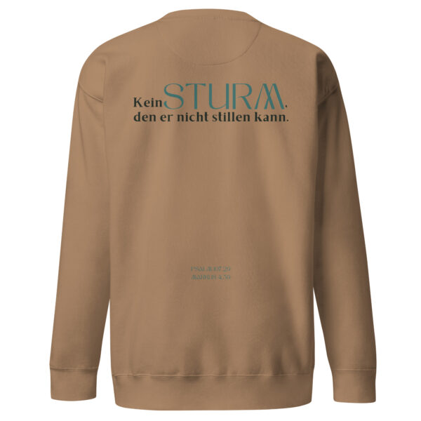 Psalm 107 - Premium-Pullover