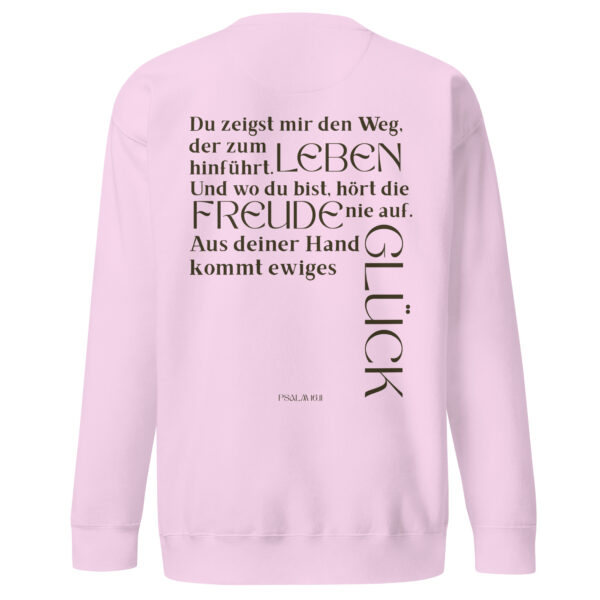 Psalm 16 - Premium-Pullover