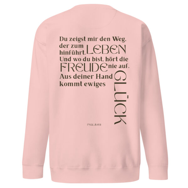 Psalm 16 - Premium-Pullover