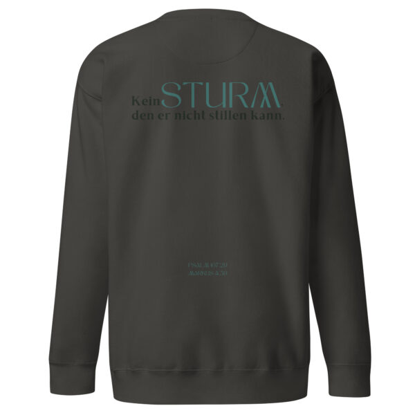 Psalm 107 - Premium-Pullover